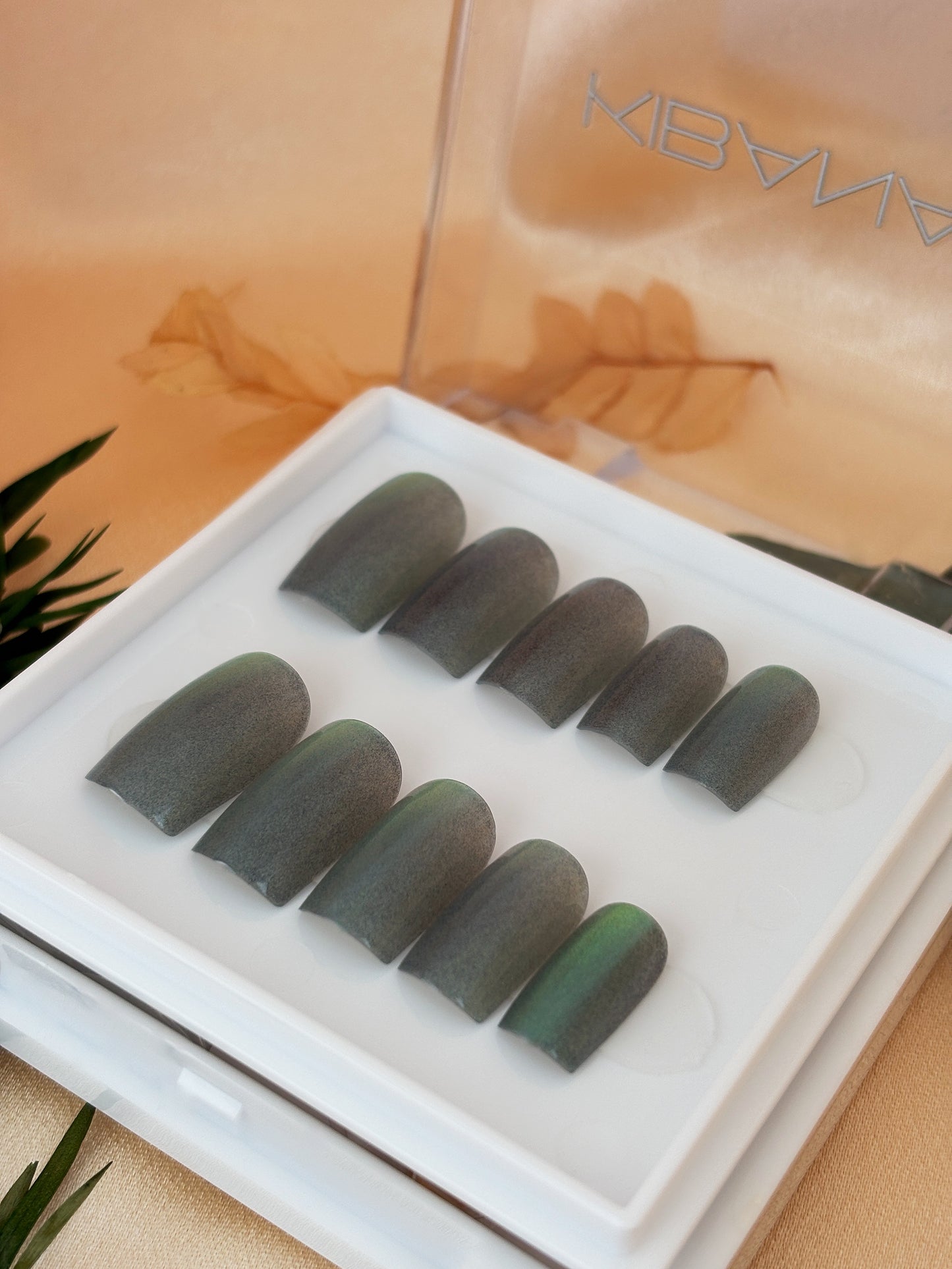 Press-On Nails Emerald Poison